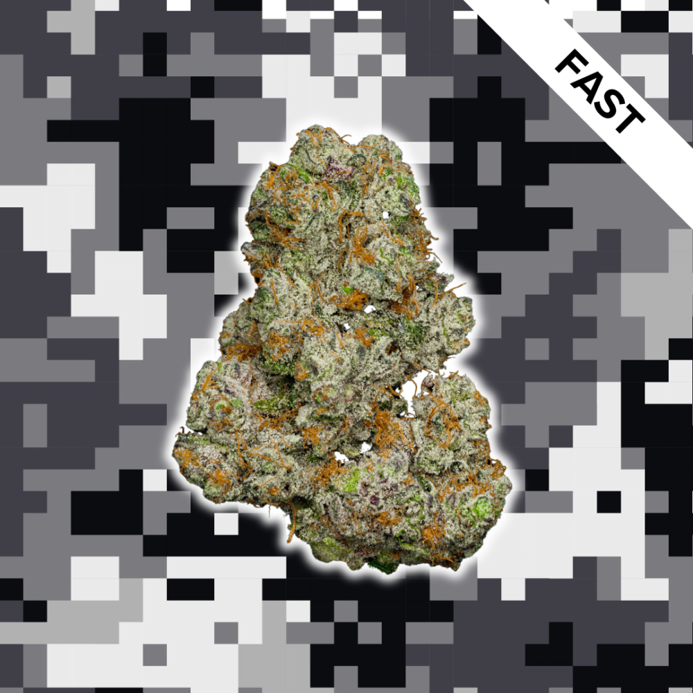 High Quality Feminized Hybrid Fast flowering Candyland Fast Version Cannabis Seeds Close Up