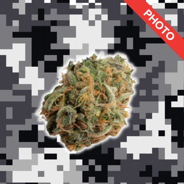 High Quality Feminized Hybrid Photoperiod Chemdawg Cannabis Seeds Close Up