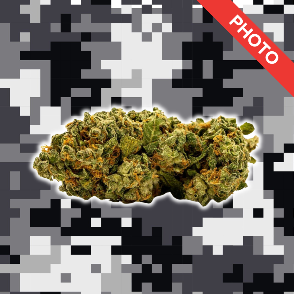 High Quality Feminized Hybrid Photoperiod Critical Kush Cannabis Seeds Close Up