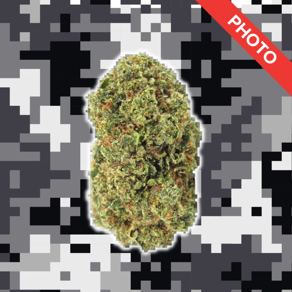 High Quality Feminized Hybrid Photoperiod Fire OG Cannabis Seeds Close Up