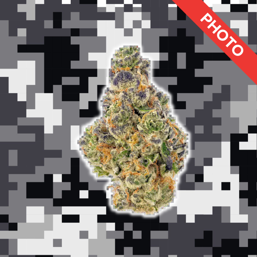 High Quality Feminized Indica Photoperiod LA Confidential Cannabis Seeds Close Up