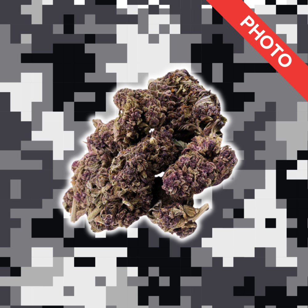 High Quality Feminized Sativa Photoperiod Purple Haze Cannabis Seeds Close Up